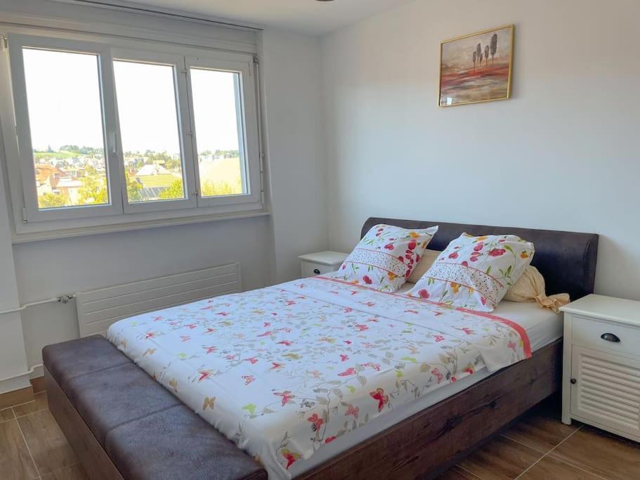 Chic Appartement Au Centre Ville La Chaux De Fonds ภายนอก รูปภาพ